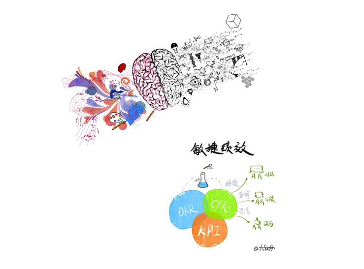 grafica cerebro